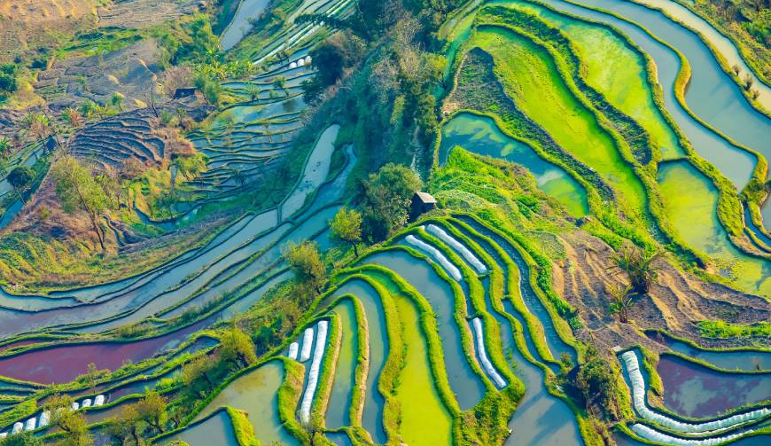 宝妈必备神器：安阳产品视频拍摄轻松育儿好帮手